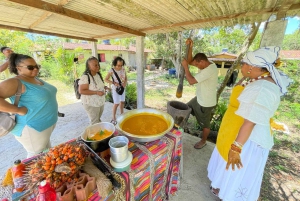 From Salvador: Quilombo Heritage Daytrip with Lunch