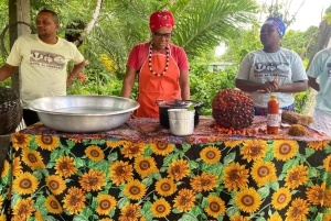 From Salvador: Quilombo Heritage Daytrip with Lunch