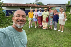 From Salvador: Quilombo Heritage Daytrip with Lunch