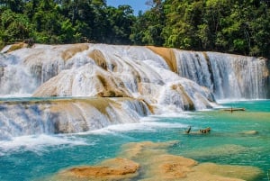 From San Cristóbal: Agua Azul and Palenque Day Trip