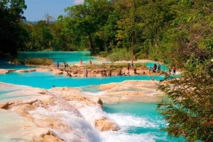 From San Cristóbal: Agua Azul and Palenque Day Trip