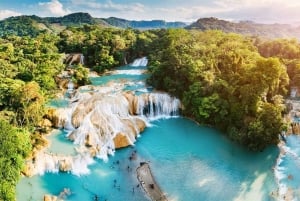 From San Cristóbal: Agua Azul and Palenque Day Trip