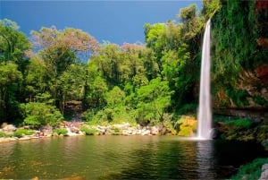 From San Cristóbal: Agua Azul and Palenque Day Trip