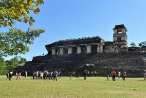 From San Cristóbal: Agua Azul and Palenque Day Trip