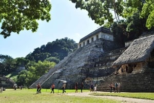 From San Cristóbal: Agua Azul and Palenque Day Trip