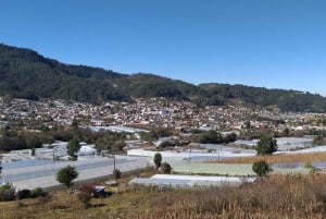 From San Cristobal: San Juan Chamula and Zinacantán Tour