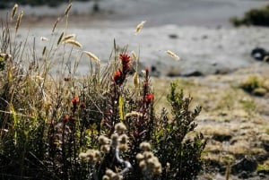 From San Jose: Irazu Volcano Crater Hike and Cartago Trip