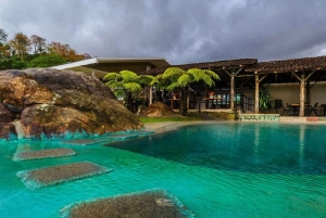 From San Jose: Irazu Volcano & Hacienda Orosi Hot Springs