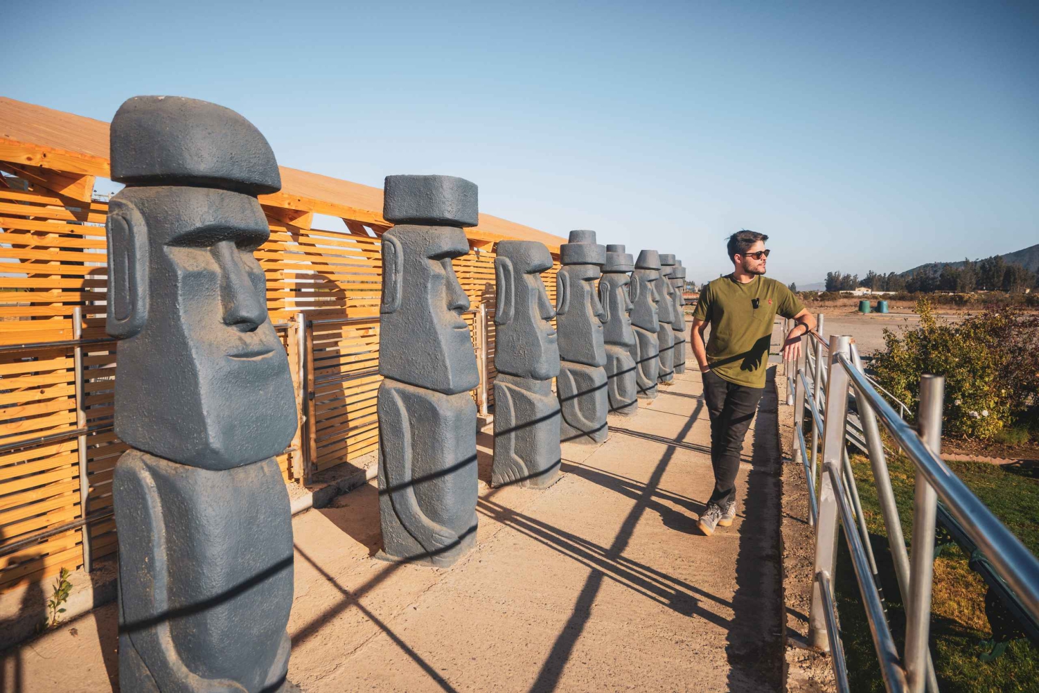 Fra Santiago: Casablanca, Valparaíso, Viña del Mar og Reñaca (kunst og sjø)