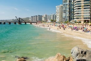 From Santiago: Highlights of Valparaiso and Viña del Mar