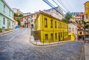 From Santiago: Highlights of Valparaiso and Viña del Mar