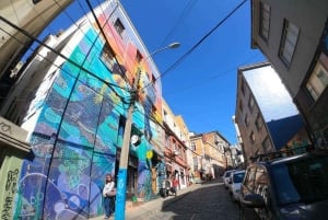 From Santiago: Highlights of Valparaiso and Viña del Mar