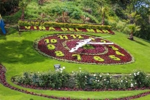 From Santiago: Highlights of Valparaiso and Viña del Mar