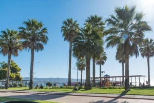 Vanuit Santiago: Privétour naar het strand met ophaalservice vanaf je hotel