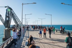 Vanuit Santiago: Privétour naar het strand met ophaalservice vanaf je hotel