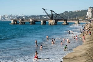 Vanuit Santiago: Privétour naar het strand met ophaalservice vanaf je hotel