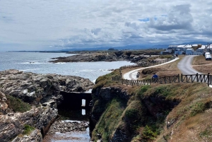 Desde Santiago: Excursión a la Playa de las Catedrales, Asturias y Pancha
