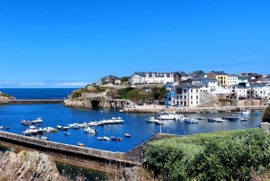 Desde Santiago: Excursión a la Playa de las Catedrales, Asturias y Pancha