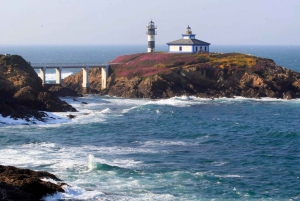 Desde Santiago: Excursión a la Playa de las Catedrales, Asturias y Pancha