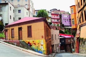 Fra Santiago: Dagstur til Valparaiso og Viña del Mar