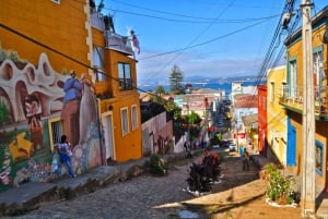 Fra Santiago: Dagstur til Valparaiso og Viña del Mar