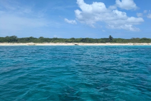 Au départ de Saint-Domingue : excursion d'une journée à l'île Catalina