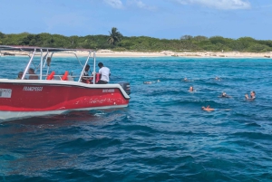 Au départ de Saint-Domingue : excursion d'une journée à l'île Catalina