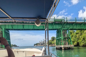 Au départ de Saint-Domingue : excursion d'une journée à l'île Catalina