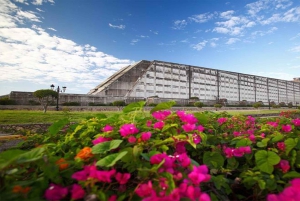 From Santo Domingo: Full day Historical Tour with Lunch