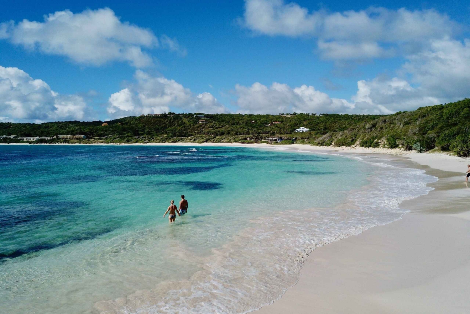 セントジョンズ発：バンで行くハーフムーンベイビーチ半日ツアー