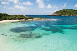 セントジョンズ発：バンで行くハーフムーンベイビーチ半日ツアー