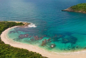 セントジョンズ発：バンで行くハーフムーンベイビーチ半日ツアー