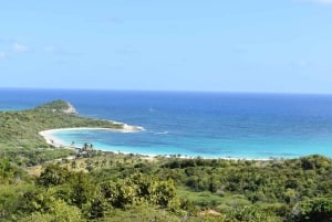 セントジョンズ発：バンで行くハーフムーンベイビーチ半日ツアー