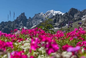 Da Torino: gita privata di un'intera giornata al Monte Bianco
