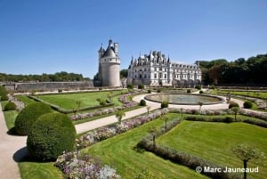 Da Tours/Amboise: Escursione di un giorno ai castelli di Chenonceau e Chambord