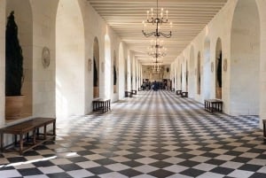 Da Tours/Amboise: Escursione di un giorno ai castelli di Chenonceau e Chambord