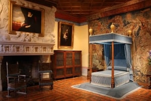 Fra Tours: Chenonceau og Chambord slott - guidet tur