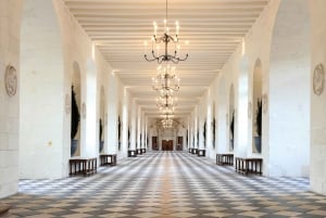 Fra Tours: Chenonceau og Chambord slott - guidet tur