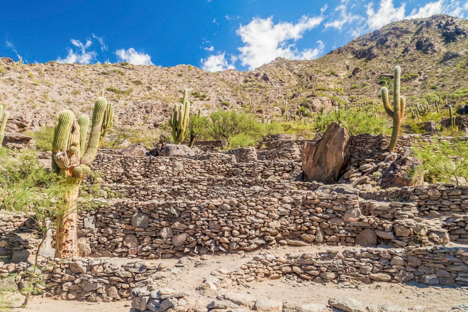 Au départ de Tucumán : Tafí del Valle, Ruines de Quilmes et Cafayate