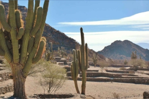 Au départ de Tucumán : Tafí del Valle, Ruines de Quilmes et Cafayate
