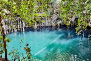 De Tulum: Tour Chichén Itzá, Cenote e Valladolid