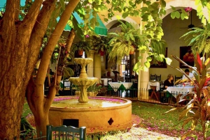 De Tulum: Tour Chichén Itzá, Cenote e Valladolid