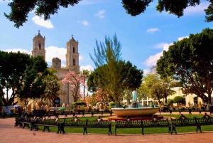 De Tulum: Tour Chichén Itzá, Cenote e Valladolid