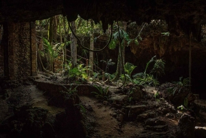 From Tulum: Rio Sagrado Experience