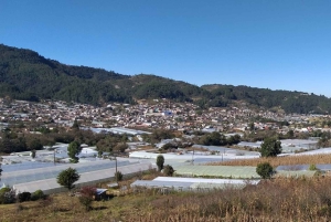 Fra Tuxtla Gutierrez: Tur til San Juan Chamula og Zinacantán