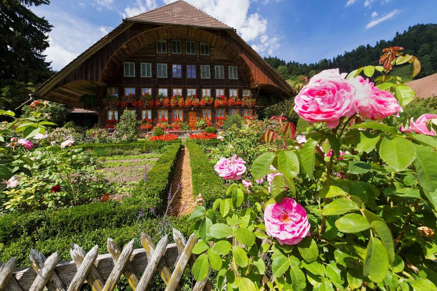 Da Zurigo/Lucerna: gita di un giorno nella capitale e nella campagna di Berna