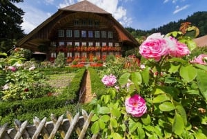 Da Zurigo/Lucerna: gita di un giorno nella capitale e nella campagna di Berna