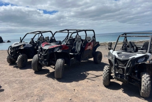 Fuerteventura: Can am buggy experience Costa Calma