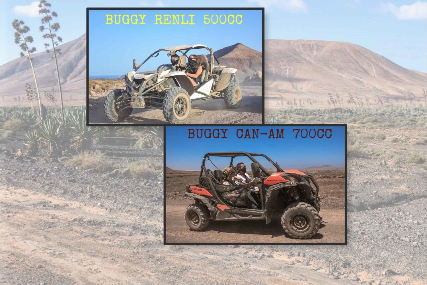 Fuerteventura: Dune Buggy Tour in Northern Fuerteventura
