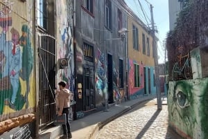 Pełny dzień w Viña del Mar i Valparaiso z Santiago